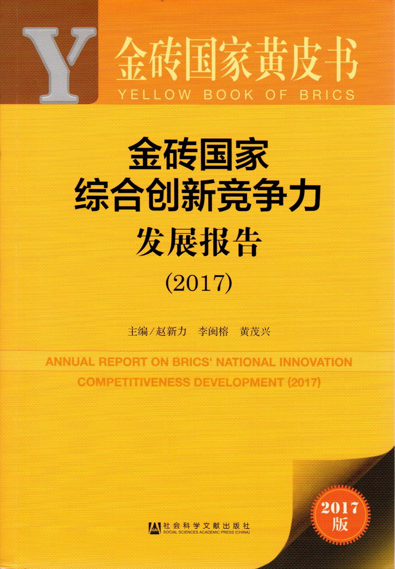 大鸡吧操骚逼水多多视频金砖国家综合创新竞争力发展报告（2017）